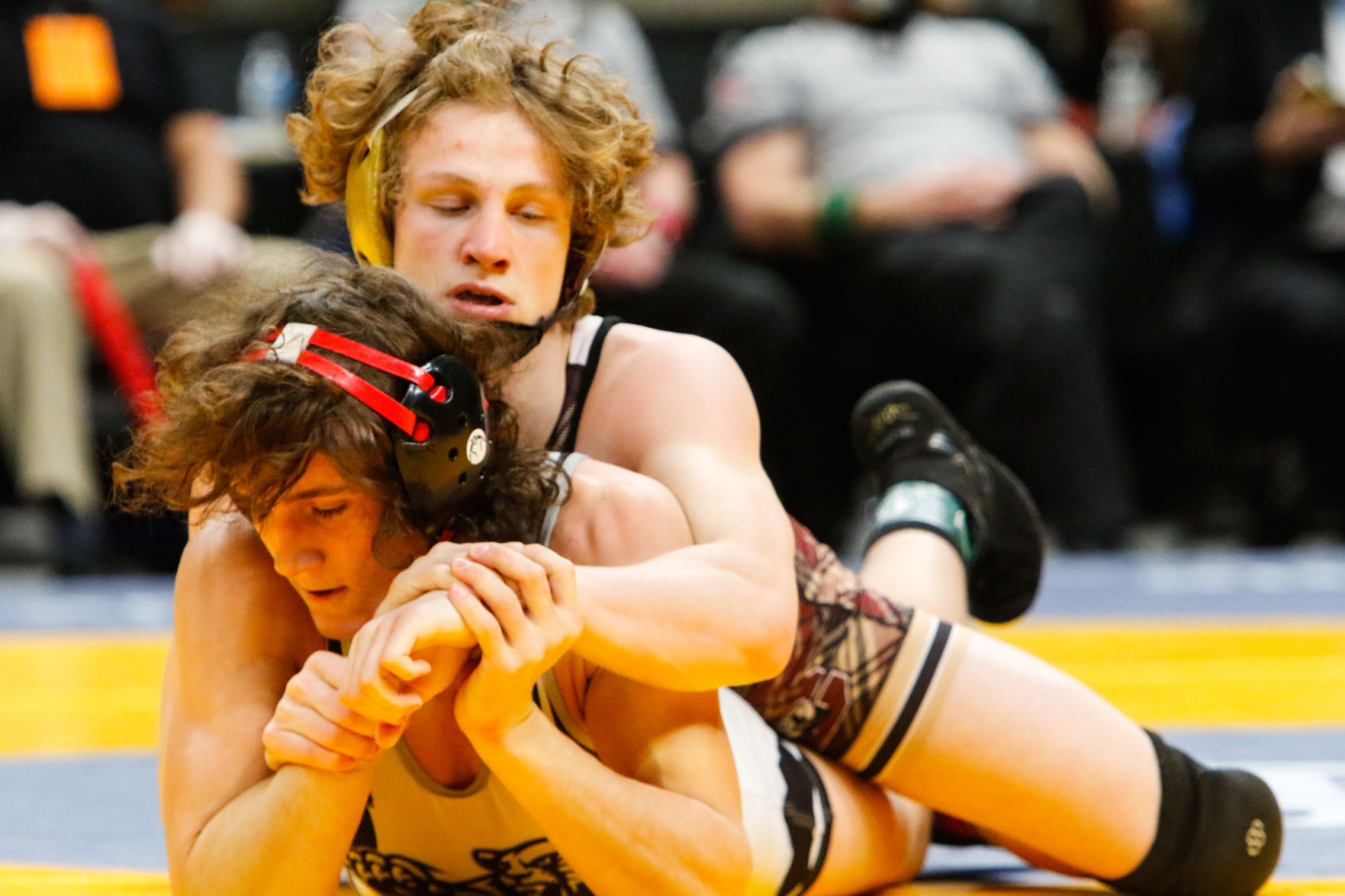 Gallery: Wrestling state finals - consolations